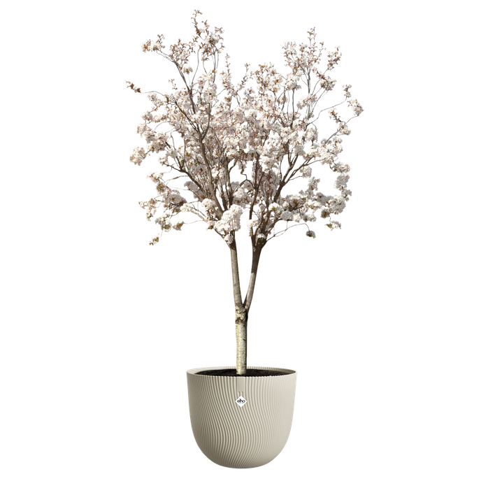 sereh rond 47cm paddenstoel beige
